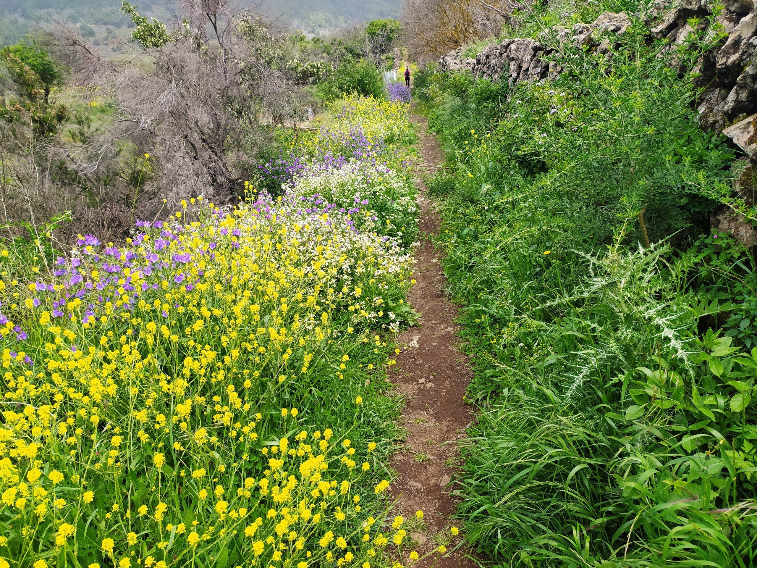 Agroecología